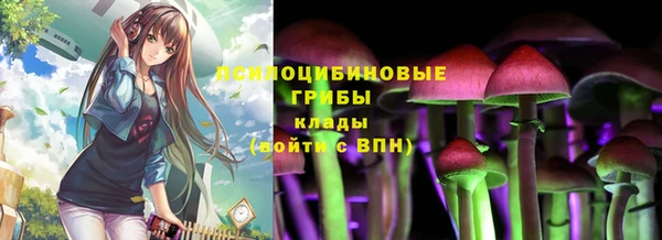 гидропоника Дмитров