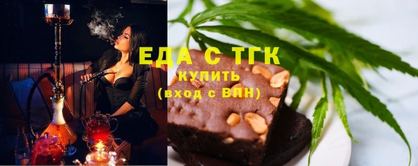 индика Ельня