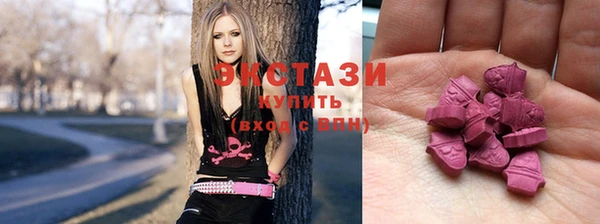 индика Ельня