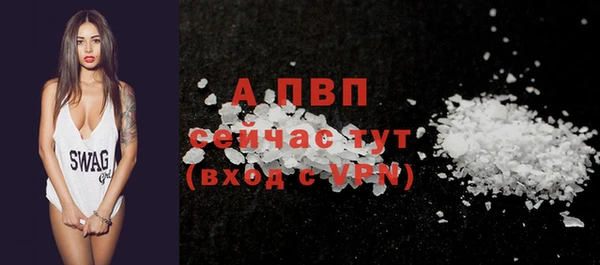 индика Ельня