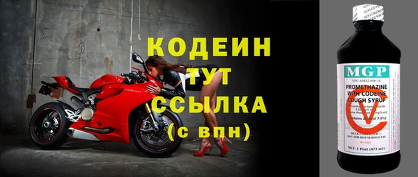МДПВ Елабуга
