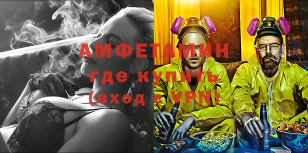 индика Ельня