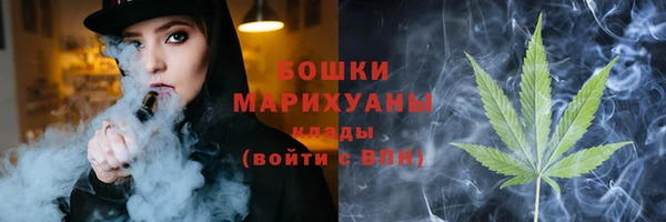 МДПВ Елабуга
