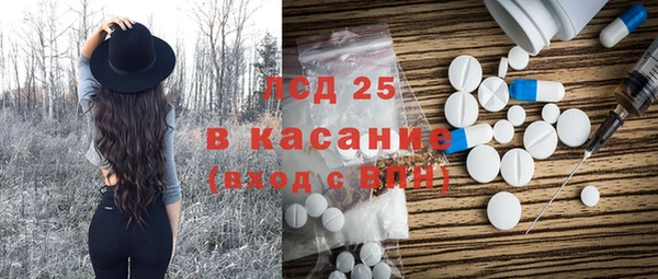 индика Ельня