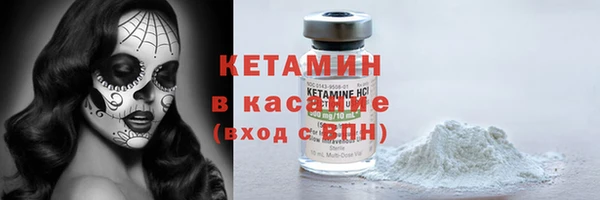 индика Ельня