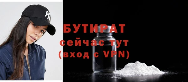 индика Ельня