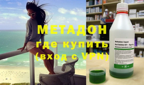 индика Ельня