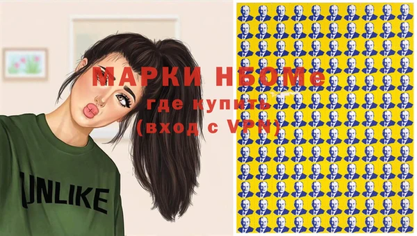 индика Ельня