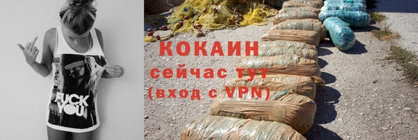 индика Ельня