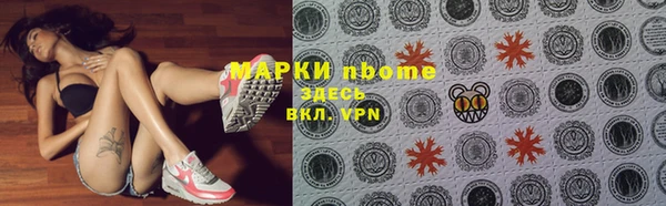 индика Ельня
