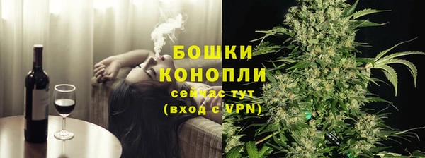 индика Ельня