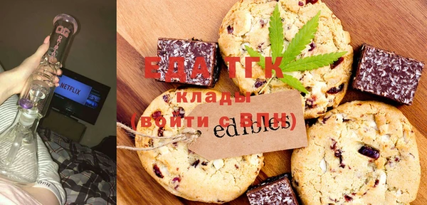 индика Ельня
