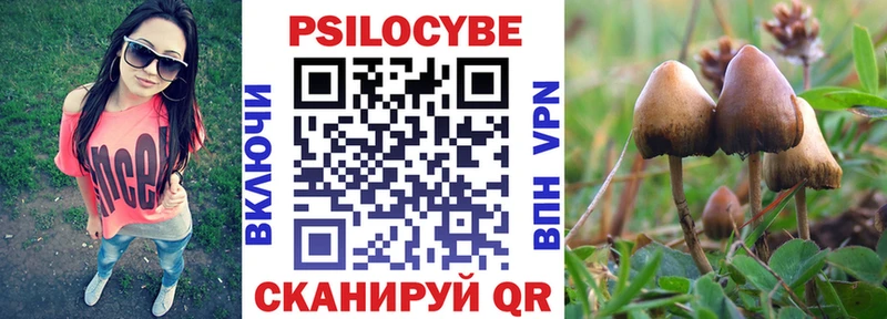 Галлюциногенные грибы Magic Shrooms  Копейск 
