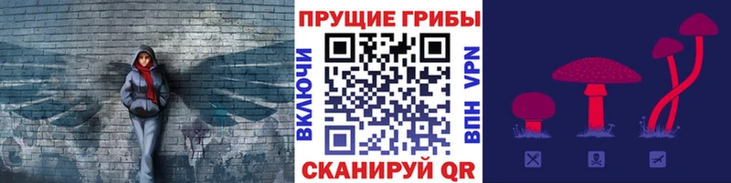 Галлюциногенные грибы прущие грибы Копейск